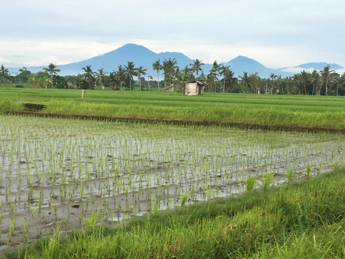 Bali Harmony Retreat Aparthotel Canggu  Ngoại thất bức ảnh